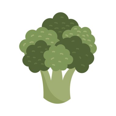 Beyaz arkaplanda taze organik brokoli