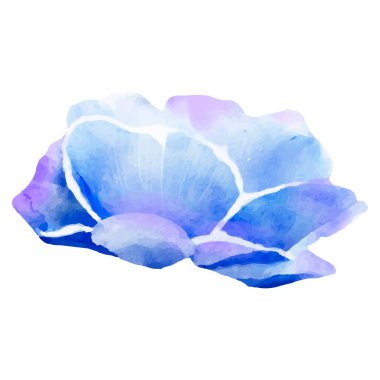 Ayrıntılı suluboya çiçek illüstrasyonu, zarif suluboya bahar çiçeği