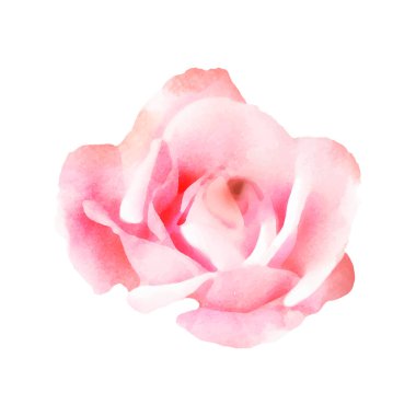 Ayrıntılı suluboya çiçek illüstrasyonu, zarif suluboya bahar çiçeği