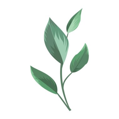 Elle boyanmış yapraklar suluboya, suluboya beyaz üzerine izole bir resim bırakır