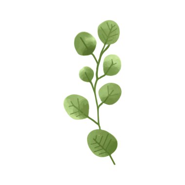 El boyası yapraklar suluboya, suluboya yapraklar beyaz arka planda izole