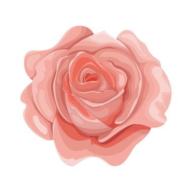 Ayrıntılı suluboya çiçek illüstrasyonu, zarif suluboya bahar çiçeği