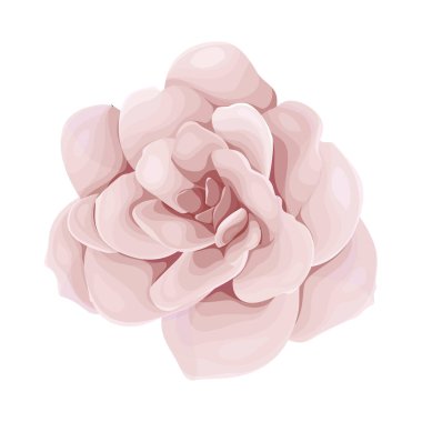 Ayrıntılı suluboya çiçek illüstrasyonu, zarif suluboya bahar çiçeği