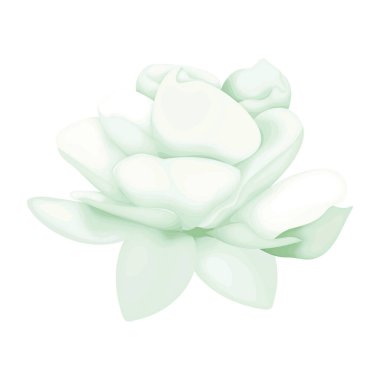 Ayrıntılı suluboya çiçek illüstrasyonu, zarif suluboya bahar çiçeği