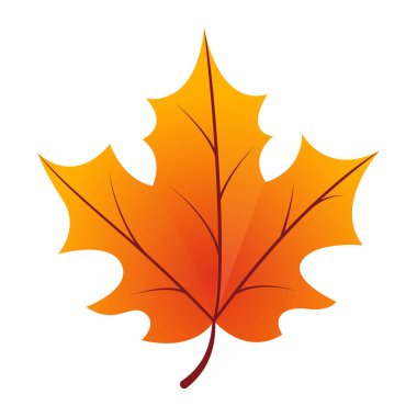 El çizimi sonbahar izni beyazı üzerinde izole edilmiş.