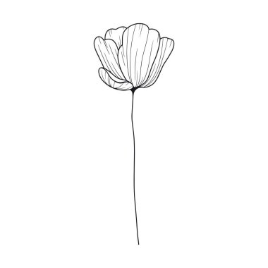 Elle çizilmiş basit çiçek çizimi beyaz bir resimde