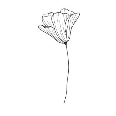 Beyaz arkaplanda elle çizilmiş basit çiçek çizimi çizimi