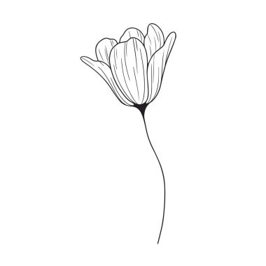 El çizimi basit çiçek çizimi çizimi çizimi