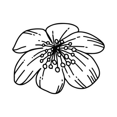 El çizimi basit çiçek ana hatları beyaza izole edilmiş.