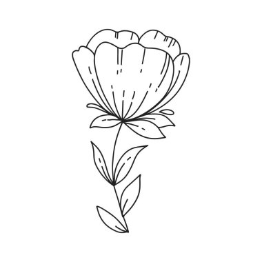 El çizimi basit çiçek ana hatları beyaza izole edilmiş.