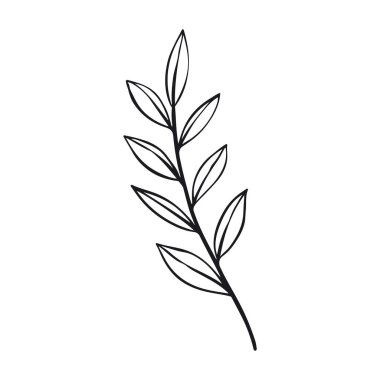 Beyaz renge el çizimi basit çiçek çizimi