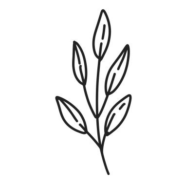 El çizimi basit çiçek ana hatları beyaz arkaplanda izole