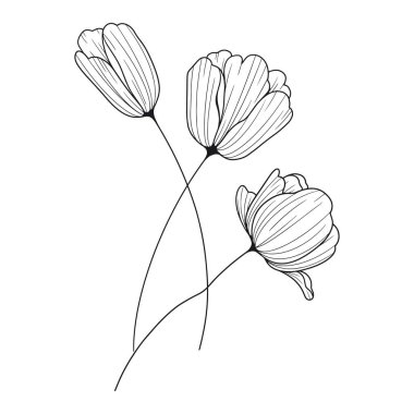 El çizimi basit çiçek özeti beyaz bir arkaplan üzerinde çizim