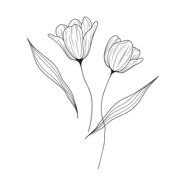Beyaz arkaplanda elle çizilmiş basit çiçek ana hatları çizimi