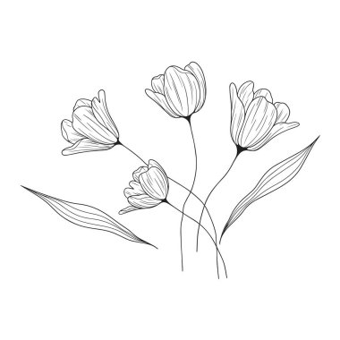 El çizimi basit çiçekler beyaz üzerine çizim