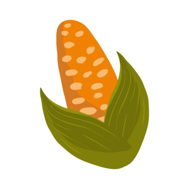 Beyaz üzerinde organik yaprak mısır koçanı simgesi izole