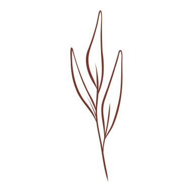 El çizimi çiçek desenli element çizimi