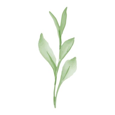 Suluboya branç çiçekli tasarımı bırakır