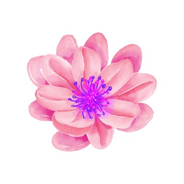 Beyaz arkaplanda suluboya çiçekleri çizimi