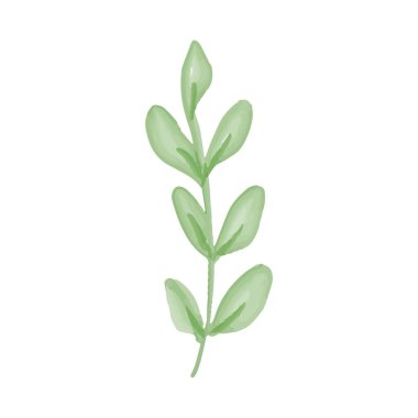 Suluboya branç çiçekli tasarımı bırakır