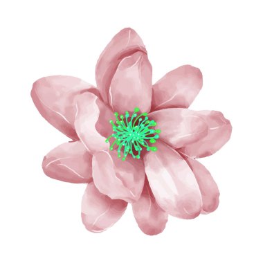 Beyaz arkaplanda suluboya çiçekleri çizimi