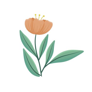 Beyaz arkaplanda izole edilmiş ilkbahar çiçeği çizimi