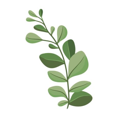 Beyaz arkaplanda bahar çiçeği çizimi