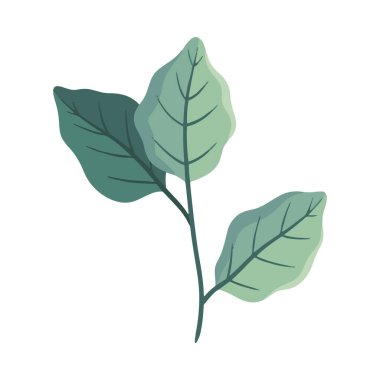 Beyaz bir çiçeğe çizilmiş bahar çiçeği çizimi