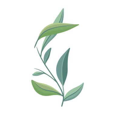 Beyaz renge bahar çiçeği çizimi