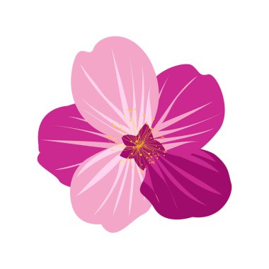 El çizimi Bahar çiçeği çizimi beyaz bir renge