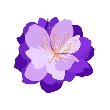 Beyaz arkaplanda el çizimi bahar çiçeği illüstrasyonu