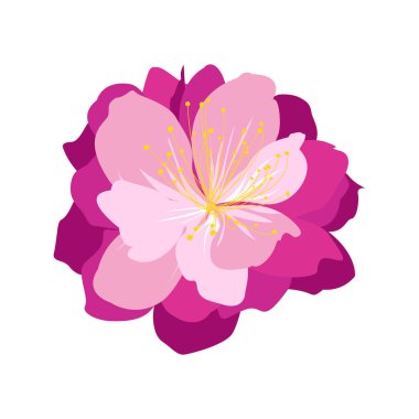 Beyaz üzerine el çizimi bahar çiçeği illüstrasyonu