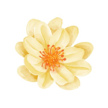 Beyaz arkaplanda suluboya çiçekleri çizimi