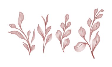 Suluboya branç çiçekli tasarım koleksiyonunu terk ediyor