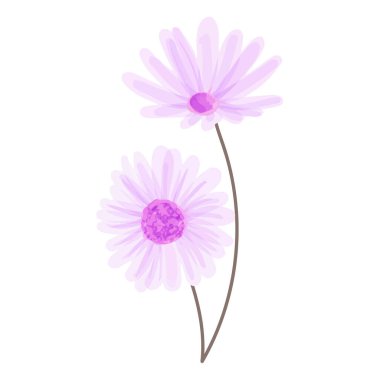 Beyaz arkaplanda suluboya çiçekleri çizimi