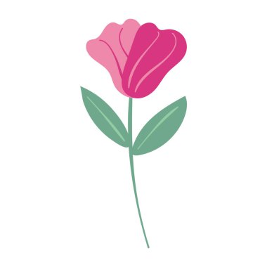 Beyaz arkaplanda el çizimi çiçek ve yaprak çizimi izole