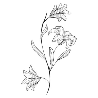 Beyaz arkaplanda elle çizilmiş çiçek çizimi çizimi