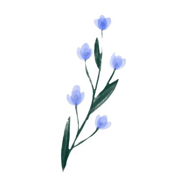 Beyaz arkaplanda suluboya çiçekleri çizimi