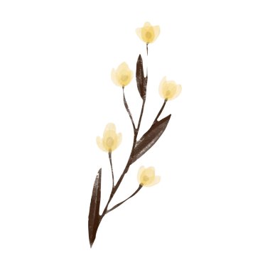 Beyaz arkaplanda suluboya çiçekleri çizimi