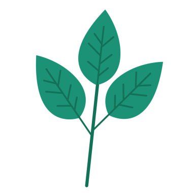 Tropikal çiçek ve yaprak çizimi, güzel tropikal çiçek çizimi