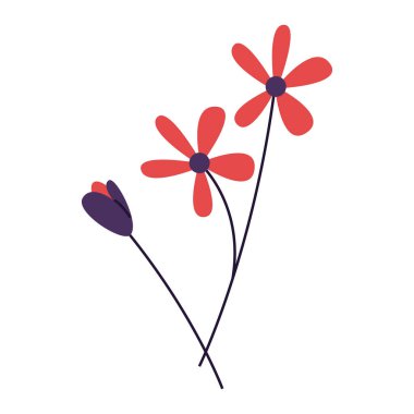 Tropikal çiçek ve yaprak çizimi, güzel tropikal çiçek çizimi beyaz