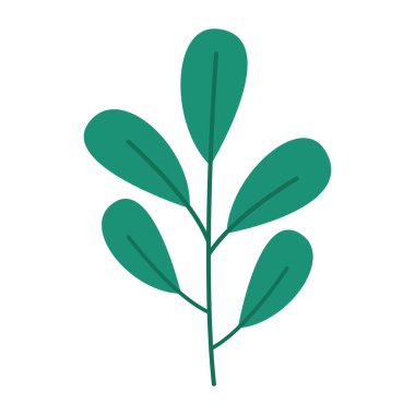 Tropikal çiçek ve yaprak çizimi, beyaz arka planda güzel tropikal çiçek