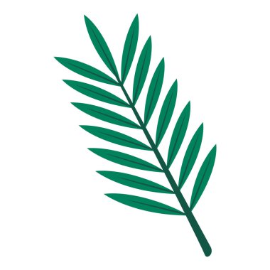 Tropikal çiçek ve yaprak çizimi, Beyaz üzerine güzel tropikal çiçek