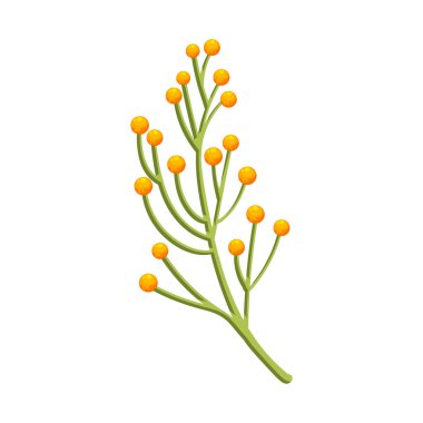 Beyaz üzerine el çizimi yapraklar çizimi