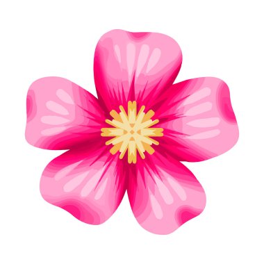 Beyaz arkaplana el çizimi suluboya çiçek çizimi