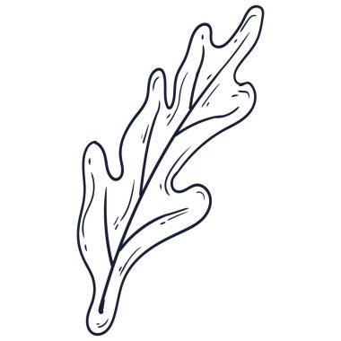 El çizimi basit çiçek çizimi çizimi beyaz arkaplanda izole edilmiş