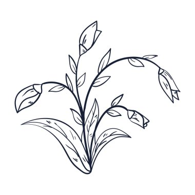 Beyaz üzerine el çizimi basit çiçek ana hatları çizimi