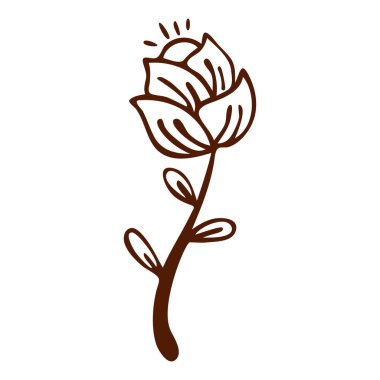 Düz tasarım, basit çiçek ana hatları, beyaz bir resimde izole edilmiş.