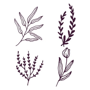 El çizimi çiçek ve yaprak çizimi seti