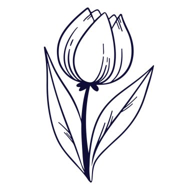 El çizimi çiçek ve yaprak beyaza izole edilmiş.